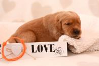 3e0bbf60575e22622a099643c919692d_195