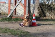 3e46afb951d1f894177d5504685f3fd7_195x130_fill