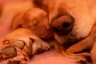 3e5e55de6e5e8a2f216d32fe1e64e1b6_195