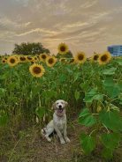 3ea1aae1be49d8e8c53e6068b90a0889_138x184_fill