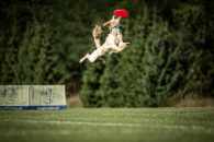 3f55e0f52d5e92b0ef2dc770d03b22b6_195