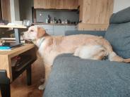 3f8ac8f7307eb6934f8ab5982ff7eb2e_184x138_fill