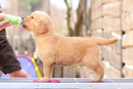 3f9abcdf7ec840c417dfaec9117034d7_194