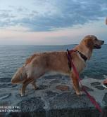 3fb2f7e81eac230572344f78fcff80a5_152x167