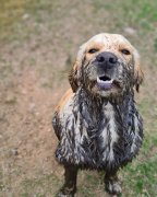 3fc0b803ec4a19c41fe72b56921ffa61_144x180_fill