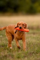 3fc6026643108643795eed8bbacef9ef_130x194