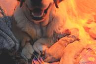 3ffed56594c2f2aa409ea6e82d97c75d_194