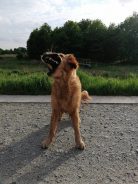 4007fbef873a7265b141e5b79dae5199_138x184_fill