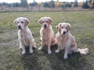 4010fe01752e73b274c31dc2ffdc4e4b_184x138_fill