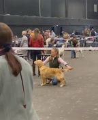 4016c95947281fede7d40d31b5e09ed9_144x176