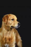 40427769ebe350092b932419eea42188_130x195