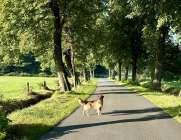 404dbded8e237e2dac27f7c2f6212b38_181