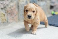 406324e71f34770605d327d72b170f62_194