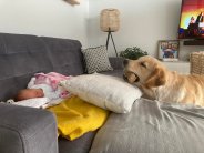 40dfea65592382222c97f8d346442fc9_184x138_fill