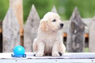 412503a079c87372bc55156a46aab2eb_195