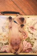 412dacb22f7624be10c3f135256125e9_130x194