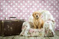 416b15e451d12fea567ea8eea487eaf0_195