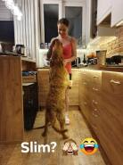 41d3138bdfb0f9cea735cf6a50f13395_138x185