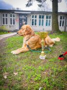 4221a3af2447242c680be4ec3b48f3b8_138x184_fill