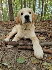 4266a17230af47f2e3f6dda04288574b_174x232_fill