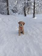 4292e2d4e0f949de9d5d05bb86b01751_138x184