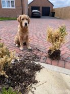 42f11d42999212a8e175fc109b03eb93_138x184_fill