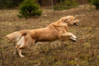 4312e9ab28a637bf867c261811dde344_194