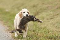 44521b348c0a4b38ba41ef16f88c8984_195