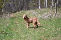 445c3d84e92c1ad645b906bf159754bd_195