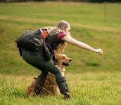 4467b6e05191dd18aaff5c45c9ee80d0_172