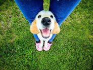 44753267d249dca174fb22bf89ced57c_184x138_fill