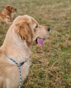 447608afb5deb5cb6052bd1a7f71cc08_144x180_fill