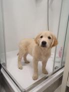 44cd8953bceaf314880c5934ccf7955c_138x184_fill