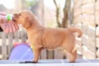 46007886c0914583565fca981e7bd05f_195