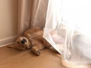 465330d02c9d15f1ce872bd3c76171e3_184x138_fill