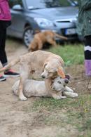 466b850ab2c2320cb1165e9751258f21_130x195