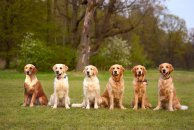 46a8ce8879b09fb6761c728b4a001f40_194