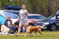 46cb73c885e57d4642b22600eea300bb_195