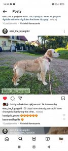 470cd5485e760e8fca3d45f89176bf12_134x297