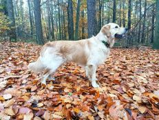 472a9315d4f1e22e37494fb2c7e9f76f_231