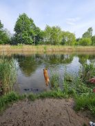 475a34badb99f2f6a768806d50d78245_138x184_fill