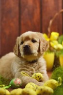 475d75aedc5ebd409f1015d8de9f59ae_130x195_fill