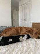 47991da0162a3af3633524aac3cce0ef_138x184_fill