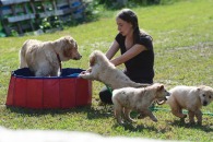 47997e1ceef887d2e24b1a4b7ab32561_195x130_fill