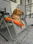 4810291f5418f4620971cb2a7c998cfa_138x184_fill