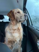 48909fb86af1dff47a380cb9a3662795_138x184_fill