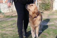 48c7c651fd8c4244b62cf64055244ad8_195x130_fill