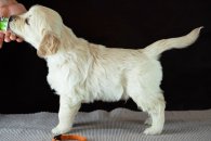 49104473c0d6a0483480359791b9fe45_195x130_fill