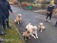 4928862610e413d9a569b3f729abcc67_183