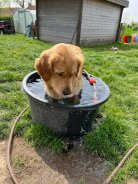 4975ce946baa568453aa5d45e7068c70_138x184_fill